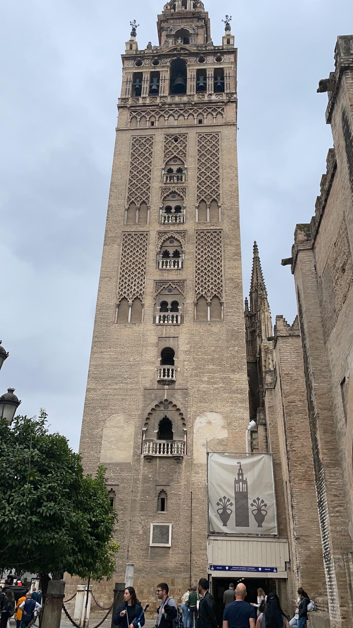 Pasion y Sabor – 2022